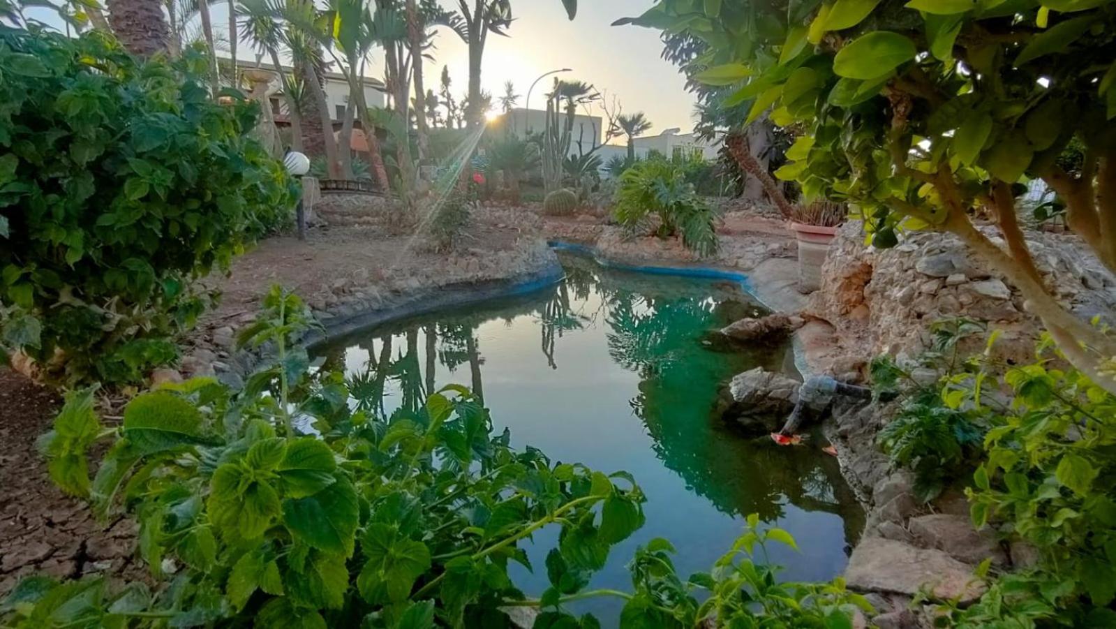 Stella Del Mare San Vito Lo Capo Apartamento Exterior foto
